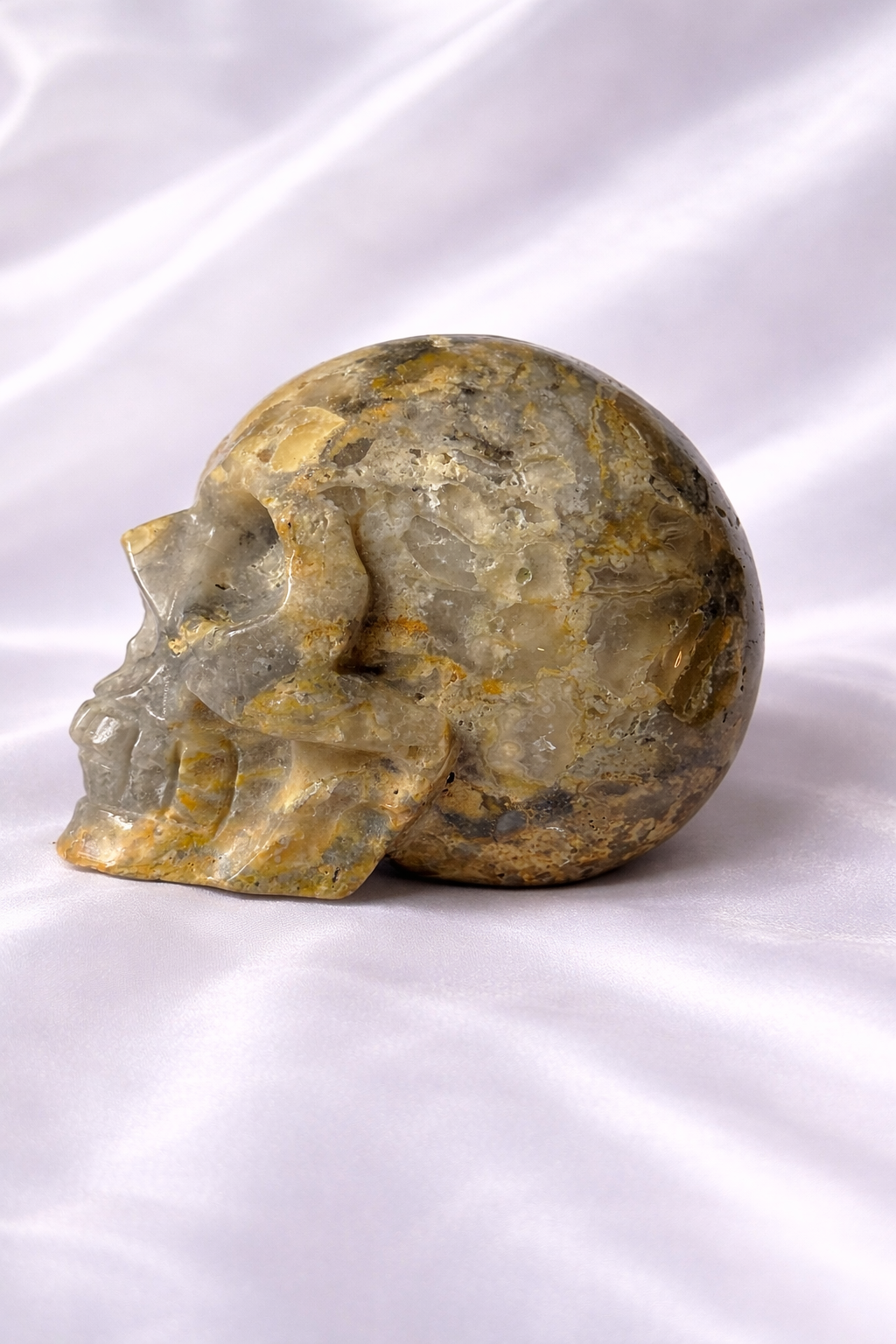 XL Crazy lace agate skull