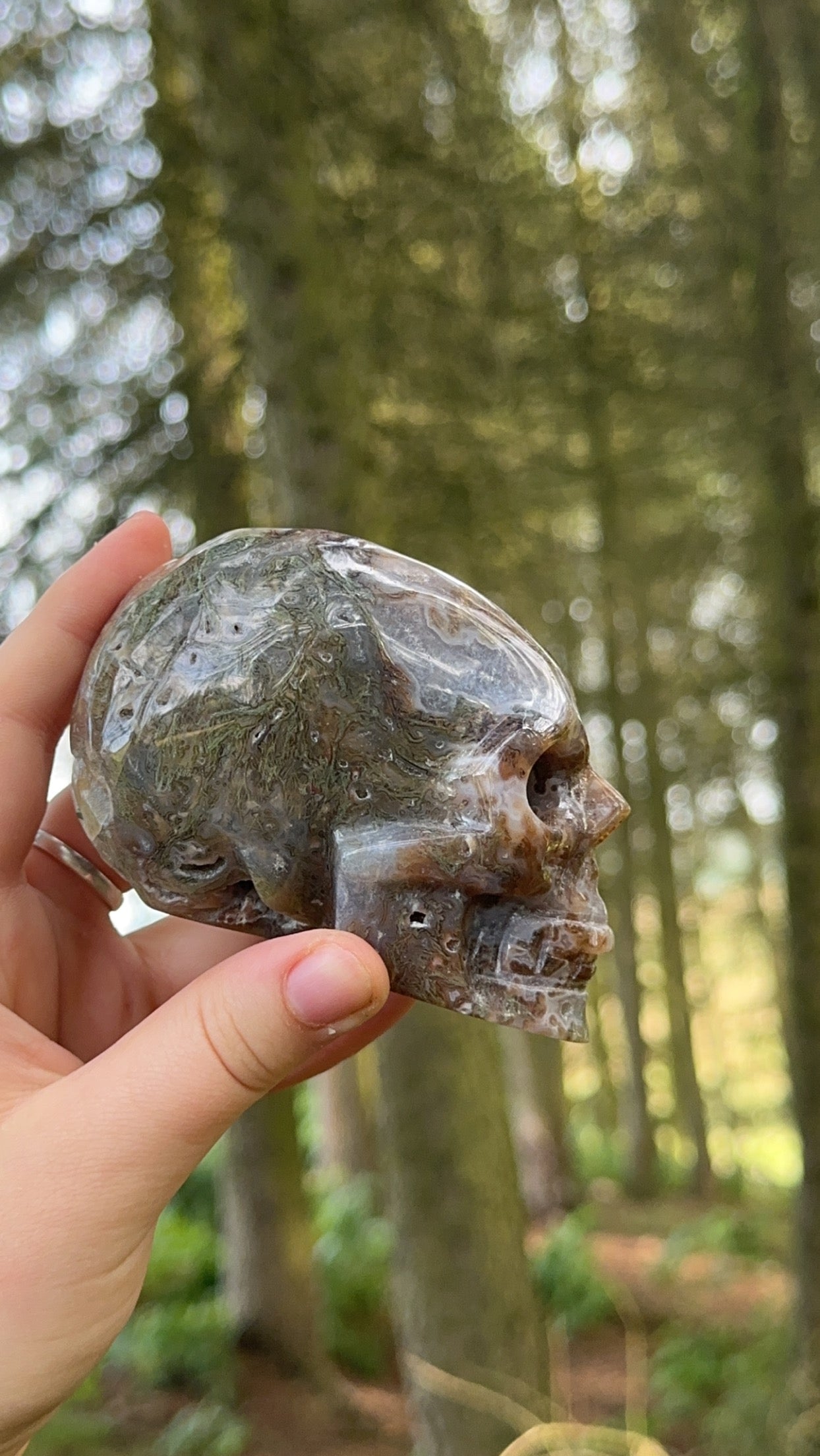 Moss agate half raw skull
