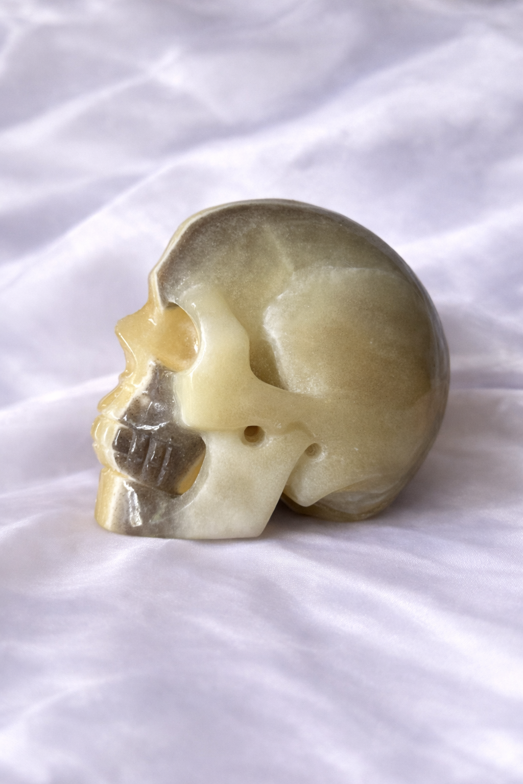 Zebra x orange calcite skull