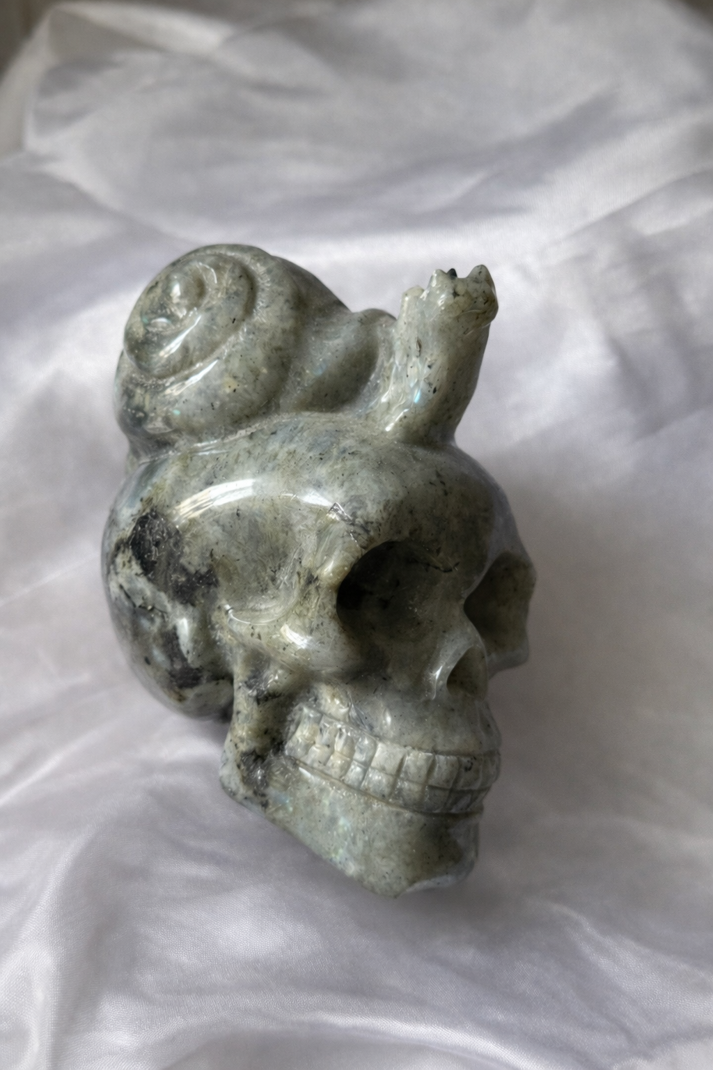Labradorite skull with snail