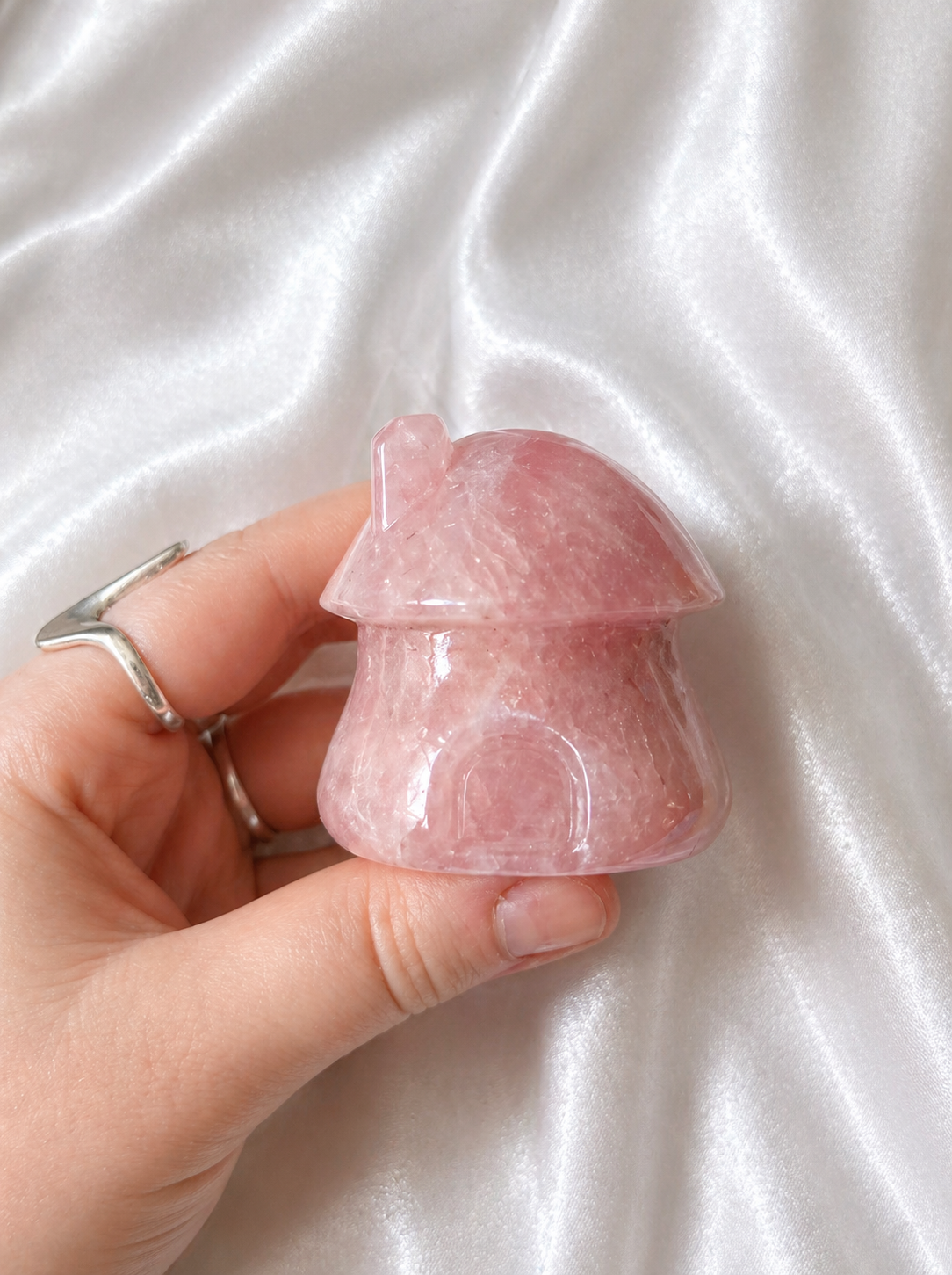 Rose quartz Mushroom house