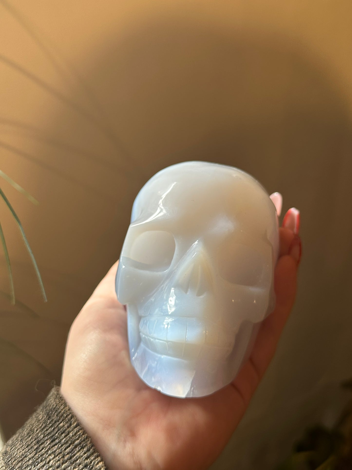 XL  * Rare * blue chalcedony skull