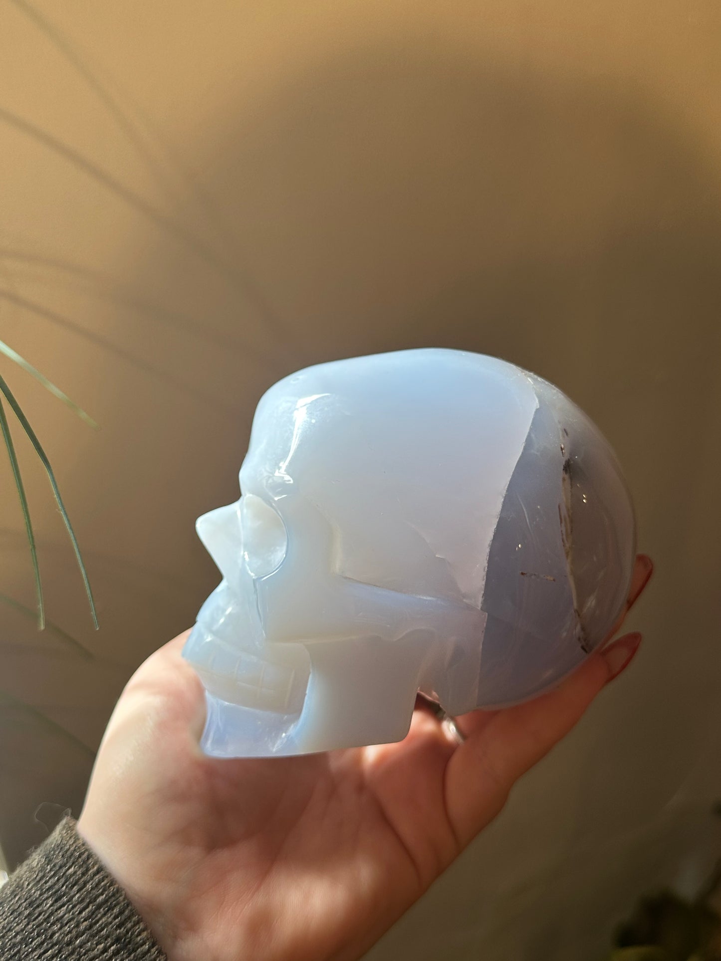 XL  * Rare * blue chalcedony skull
