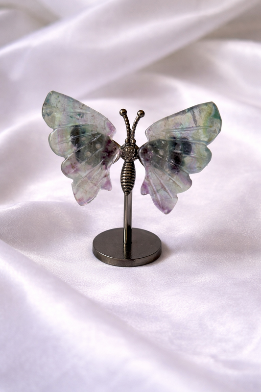 Fluorite butterfly